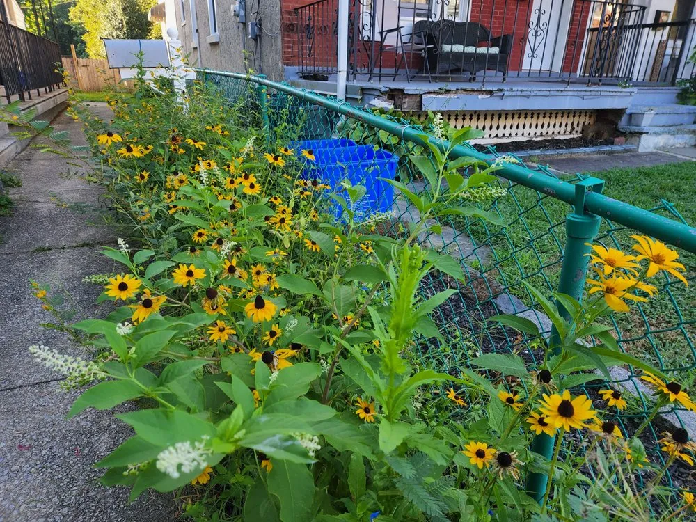 Professional lawn mowing service near you across West Barnstable, MA - XeroScape