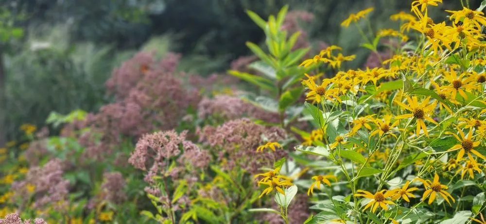 Top-rated landscape design experts serving West Barnstable, MA - XeroScape