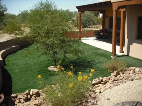 Top-rated yard cleanup service near you in Tucson, AZ by Xeroscapes