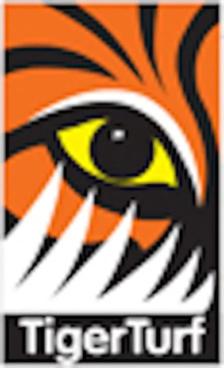 Professional yard cleanup service for outdoor upgrades across Tucson, AZ - Xeroscapes