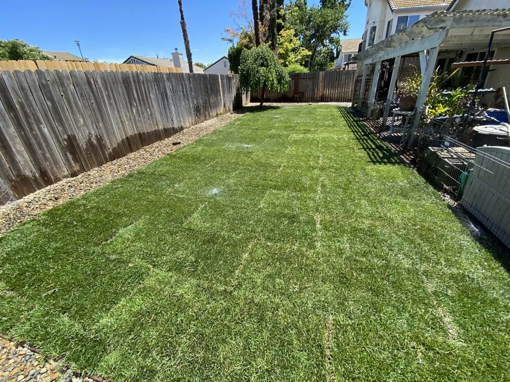 Top-rated landscaping services experts serving Sacramento, CA - XI Landscaping