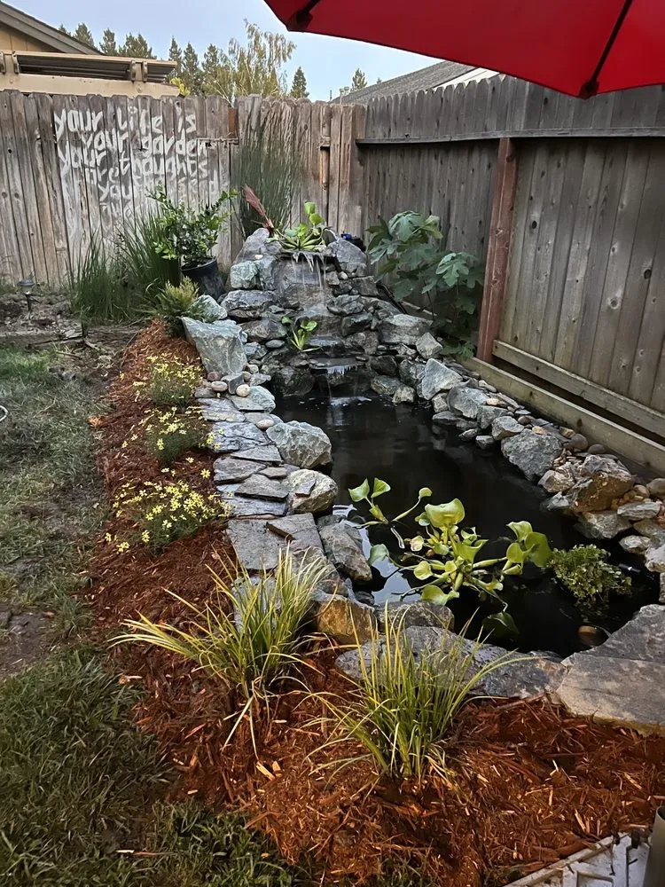 Top-rated residential landscaping with custom design across Sacramento, CA - Ximenez Waterfalls And Fish Pond Services
