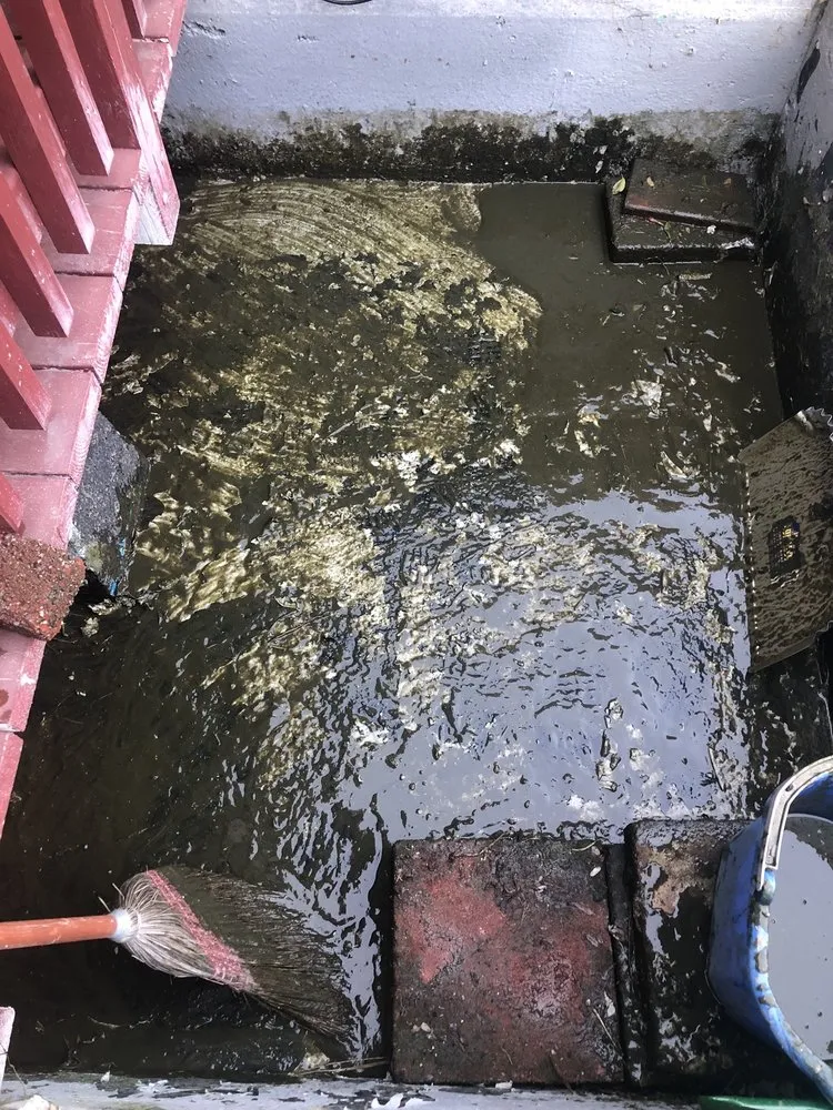 Expert landscape installation near you in Sacramento, CA by Ximenez Waterfalls And Fish Pond Services