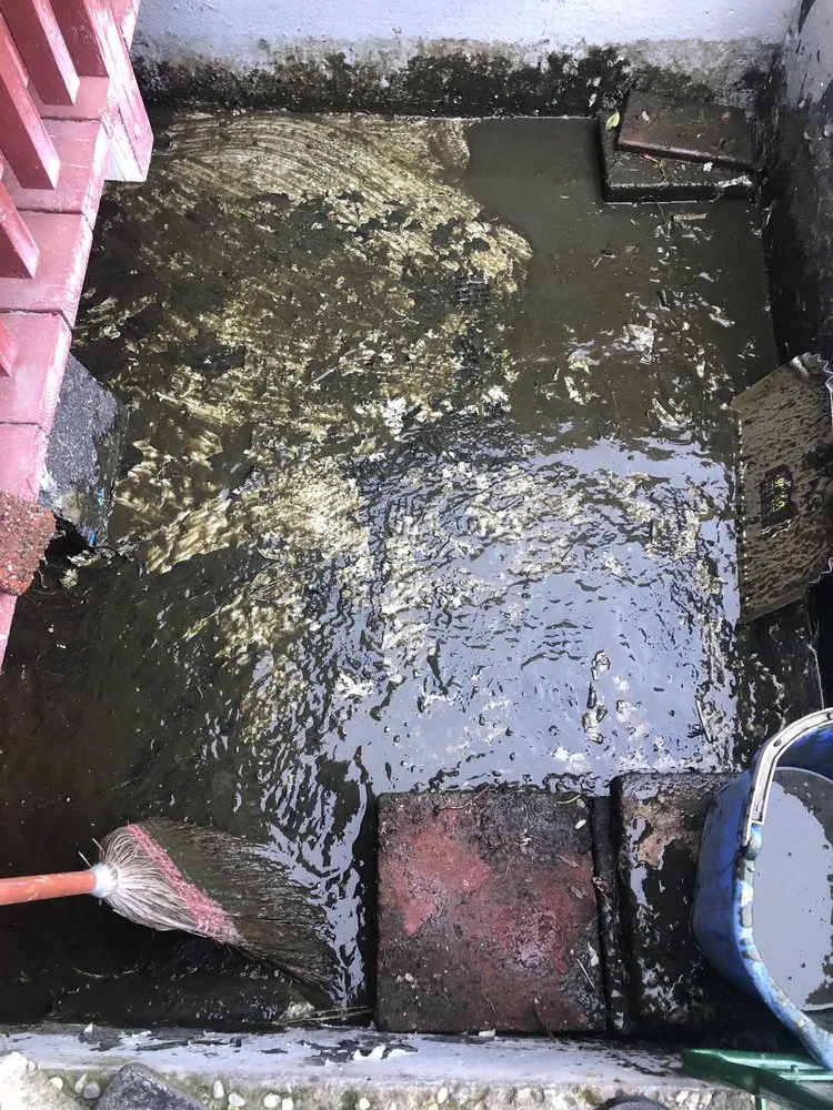 Expert yard cleanup service in Sacramento, CA - Ximenez Waterfalls And Fish Pond Services