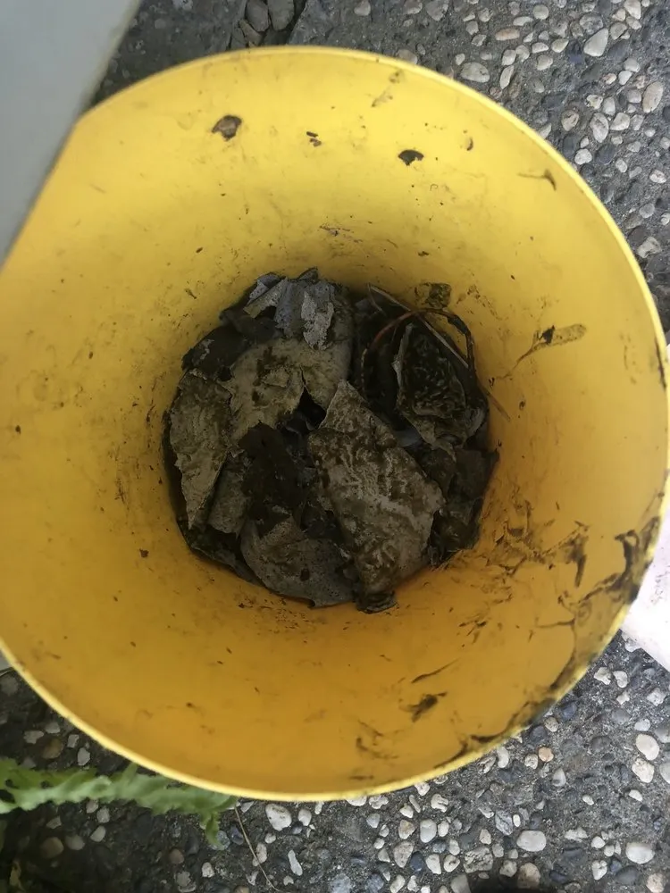 Trusted landscape design in Sacramento, CA by Ximenez Waterfalls And Fish Pond Services