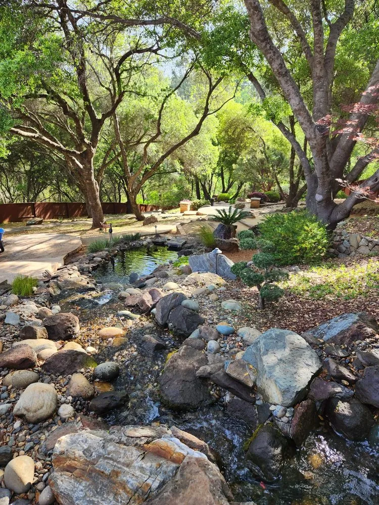 Top-rated yard cleanup service for outdoor upgrades across Sacramento, CA - Ximenez Waterfalls And Fish Pond Services
