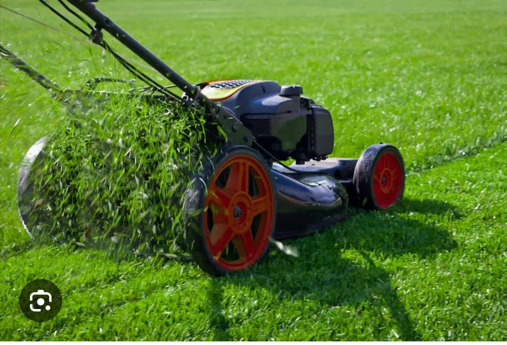 Professional yard maintenance in Saint Paul, MN by Xiong Lawn Care