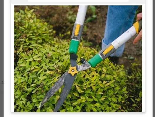 Xiong Lawn Care Logo