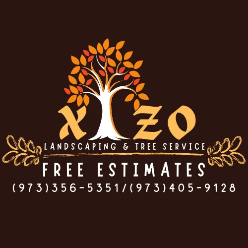Affordable yard cleanup service experts serving Jefferson, NJ - Xizo Landscaping & Tree Service