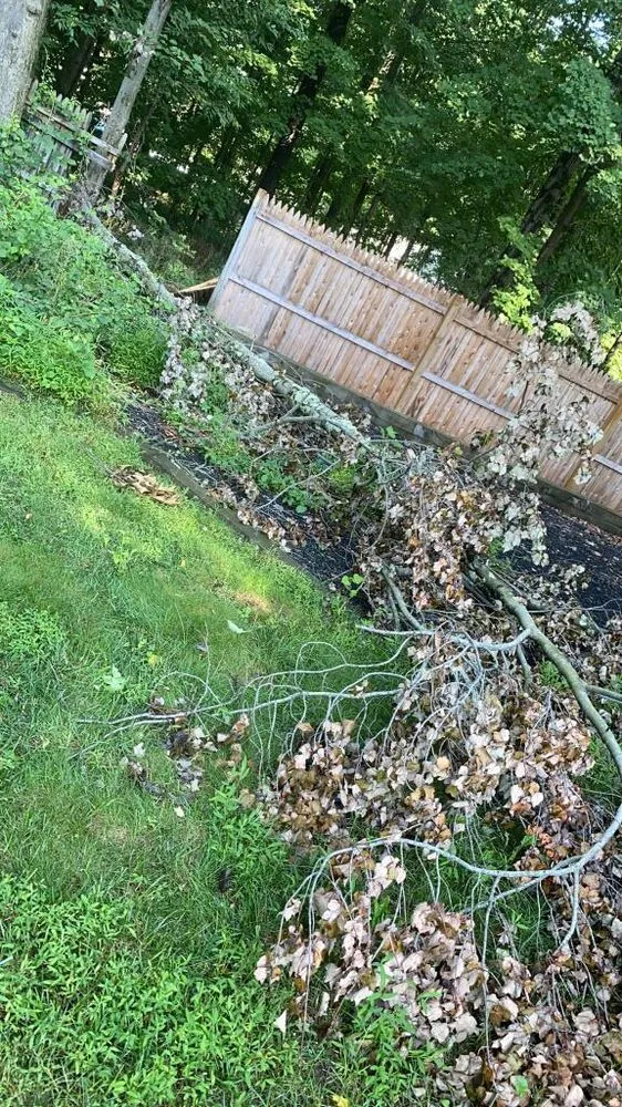 Local lawn care service for year-round maintenance across Jefferson, NJ - Xizo Landscaping & Tree Service