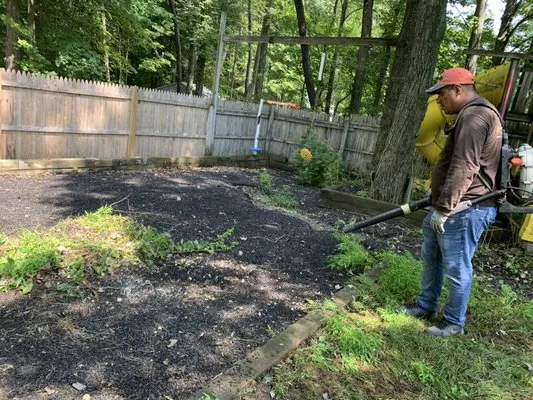 Xizo Landscaping & Tree Service