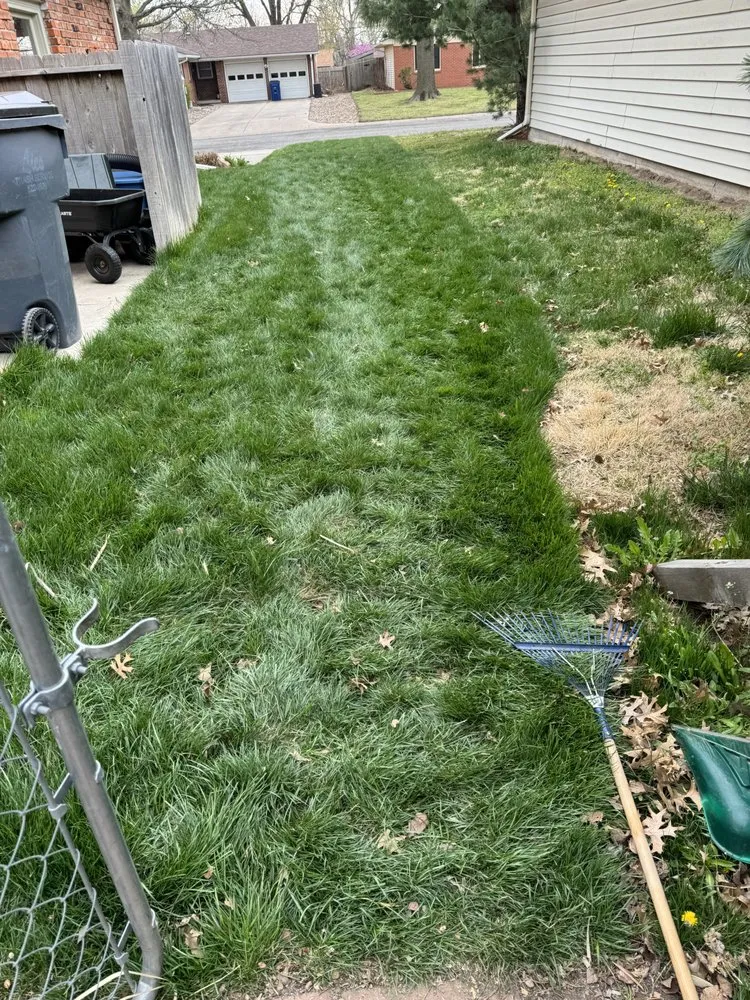 Expert yard cleanup service in Wichita, KS - Xman Hauling