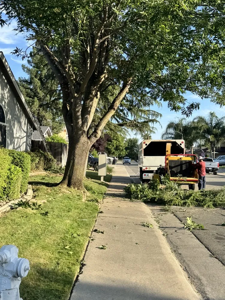 Custom lawn mowing service experts serving Sacramento, CA - Xochitl Tree Service