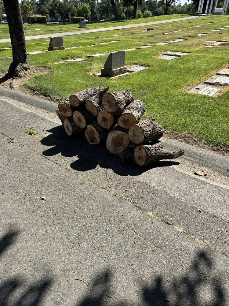 Local residential landscaping experts serving Sacramento, CA - Xochitl Tree Service