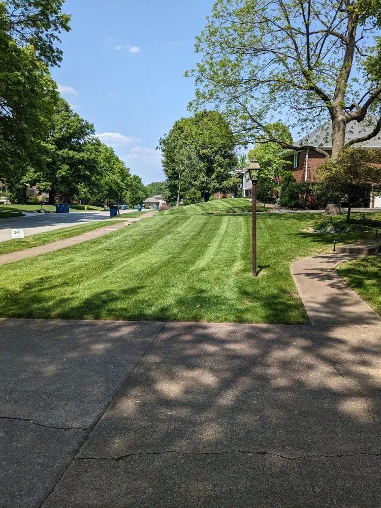 Trusted yard cleanup service in Carmel, IN - Xperience Lawn Care