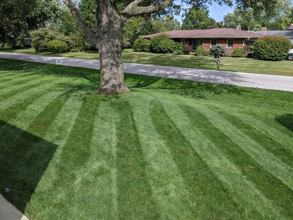 Local yard maintenance for outdoor upgrades across Carmel, IN - Xperience Lawn Care