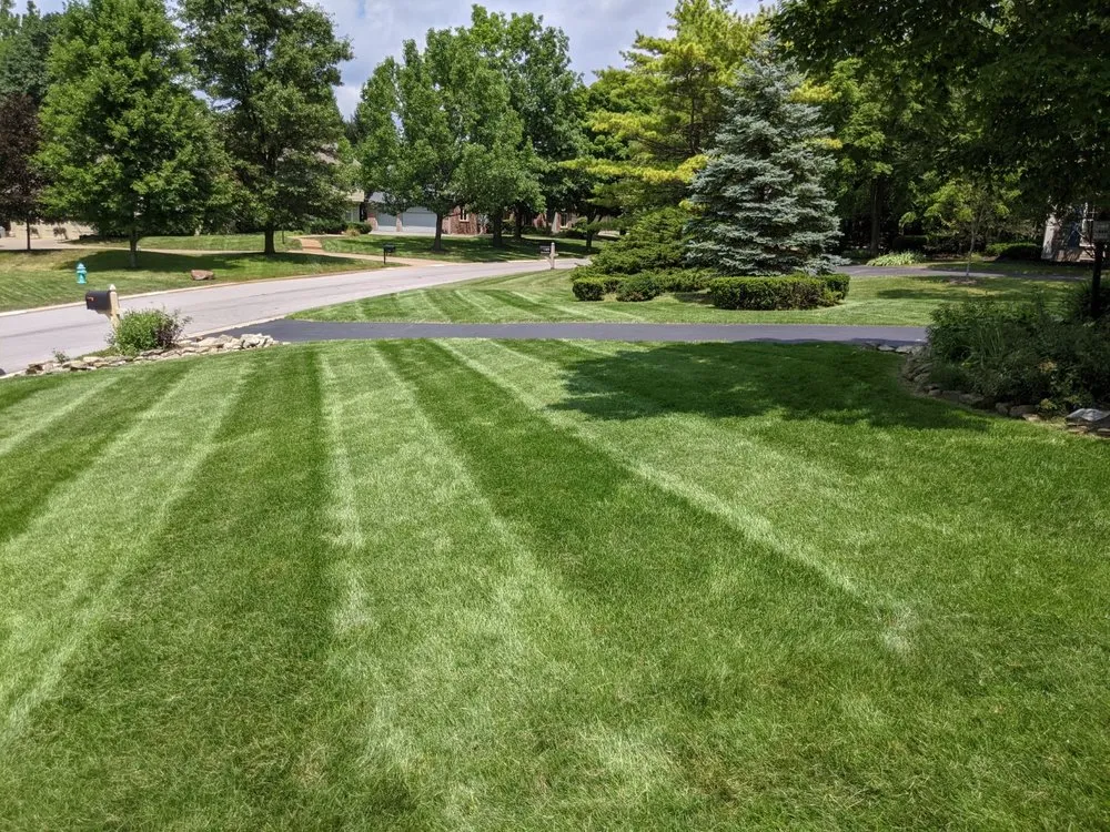 Reliable lawn care service experts serving Carmel, IN - Xperience Lawn Care