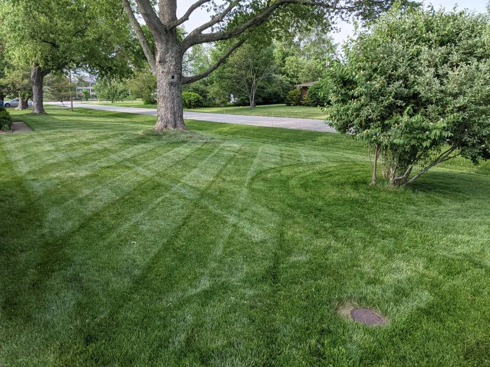 Affordable yard maintenance in Carmel, IN by Xperience Lawn Care