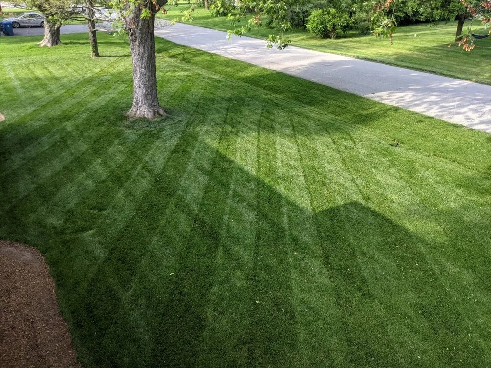 Reliable landscape installation in Carmel, IN by Xperience Lawn Care