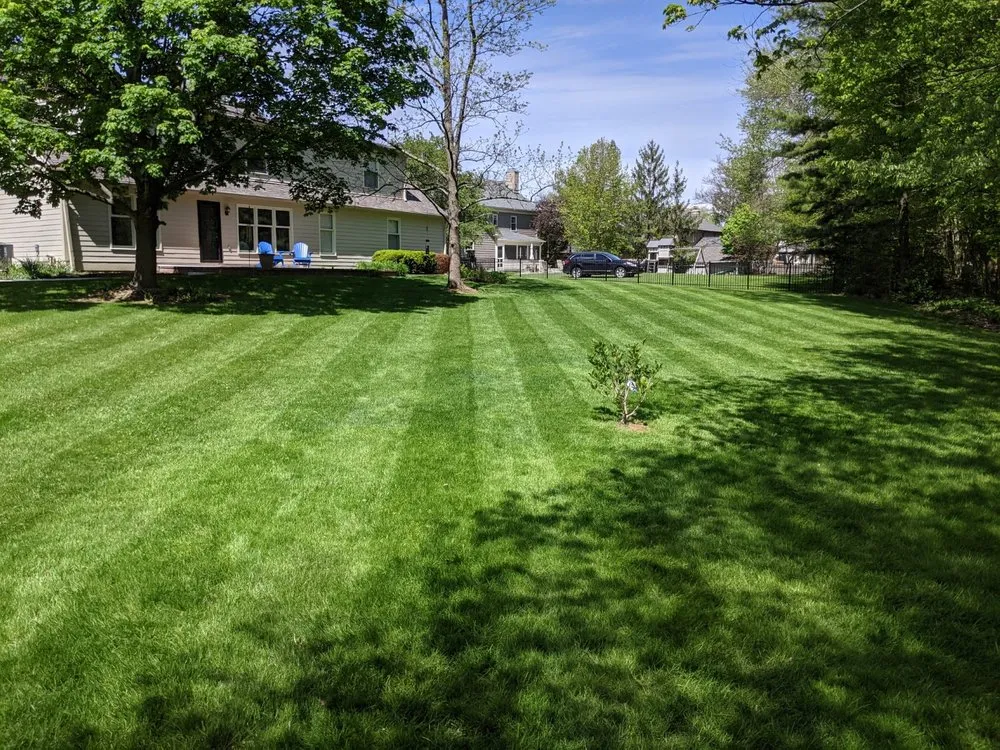 Affordable yard maintenance near you across Carmel, IN - Xperience Lawn Care