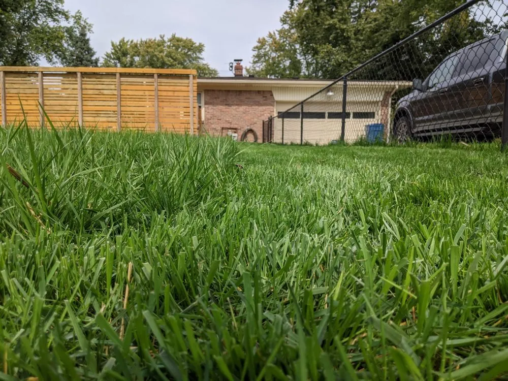 Reliable garden landscaping in Carmel, IN by Xperience Lawn Care