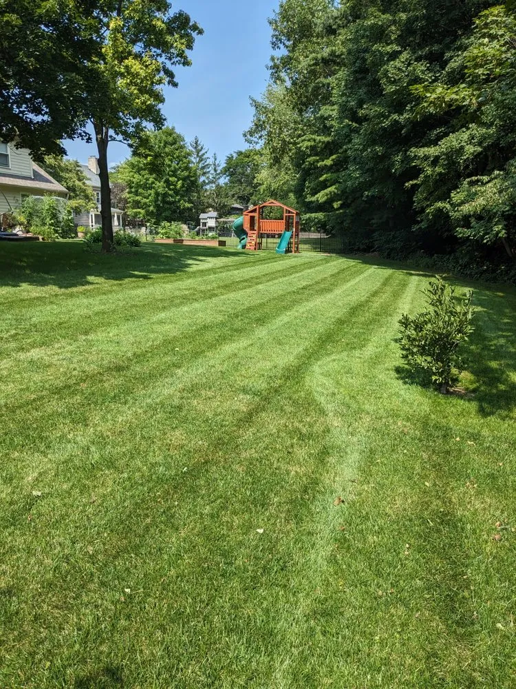 Local lawn mowing service in Carmel, IN - Xperience Lawn Care