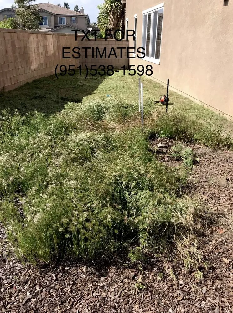 Professional residential landscaping with custom design in Perris, CA by Xpert Landscape