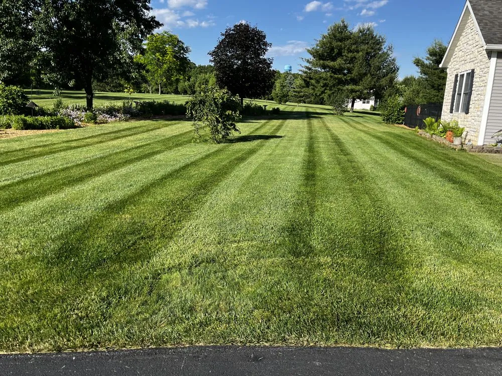 Custom yard cleanup service in Bloomington, IN - Xpert Lawn Care