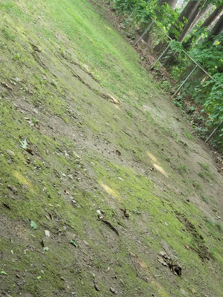 Professional residential landscaping for year-round maintenance across Guilford, VT - Xpert Lawn Care