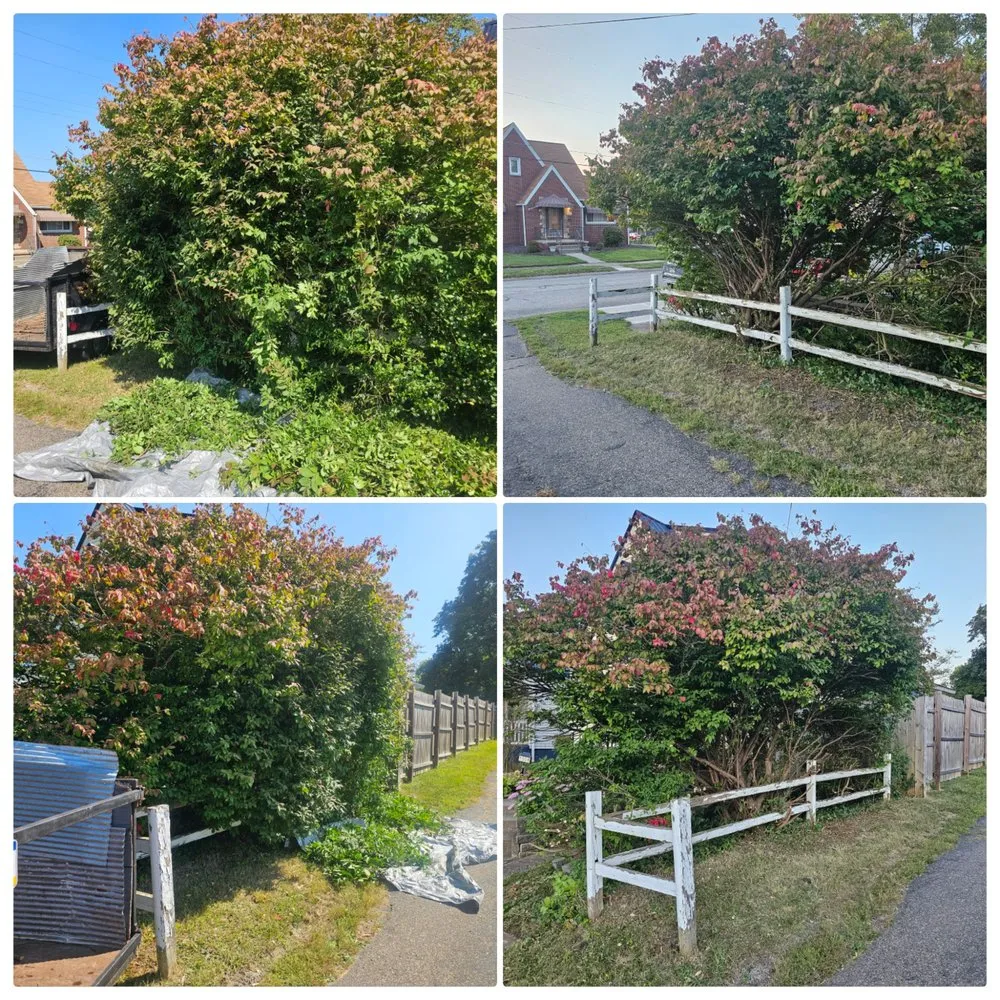 Custom landscaping services experts serving Brackenridge, PA - Xplaz