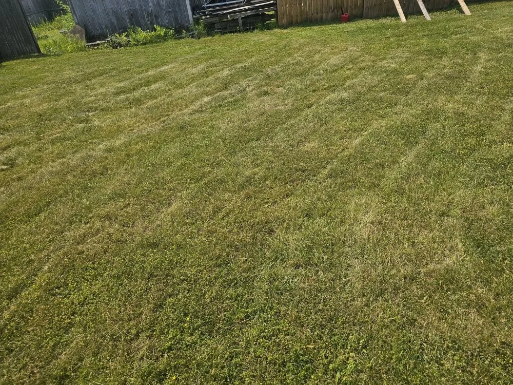 Local landscape installation in Brackenridge, PA - Xplaz