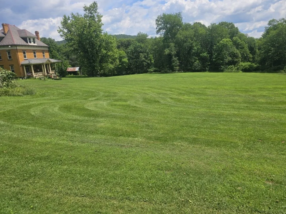 Top-rated landscaping services in Brackenridge, PA - Xplaz