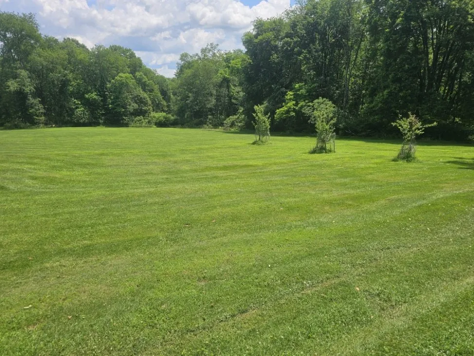 Local landscape design for homes in Brackenridge, PA by Xplaz