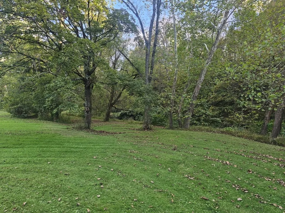 Top-rated residential landscaping for beautiful yards across Brackenridge, PA - Xplaz