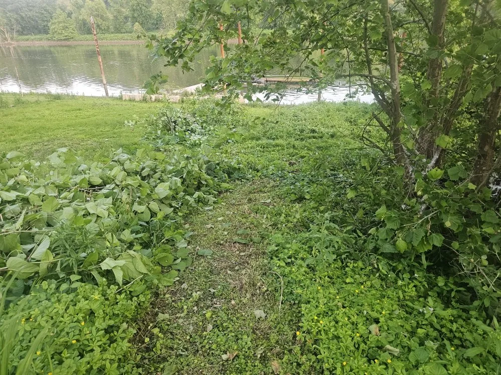 Local lawn care service experts serving Brackenridge, PA - Xplaz