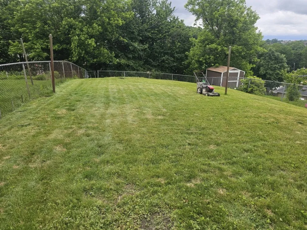 Local garden landscaping for beautiful yards across Brackenridge, PA - Xplaz