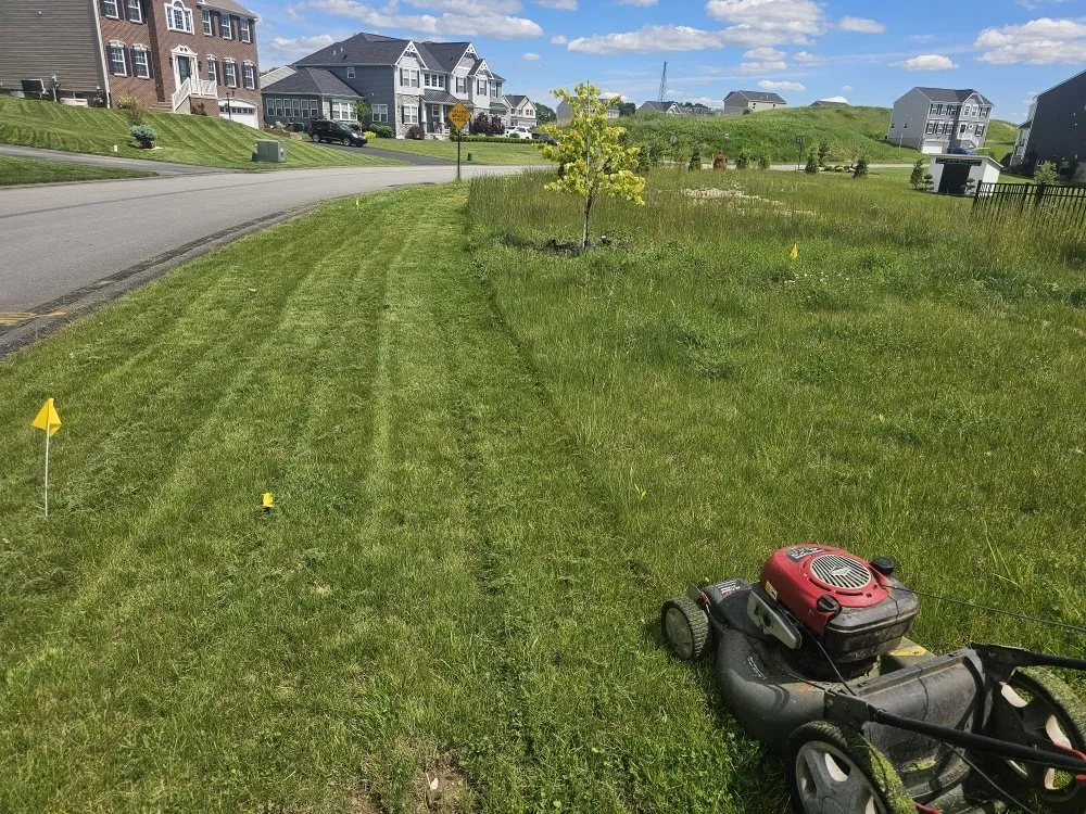 Reliable lawn care service experts serving Brackenridge, PA - Xplaz