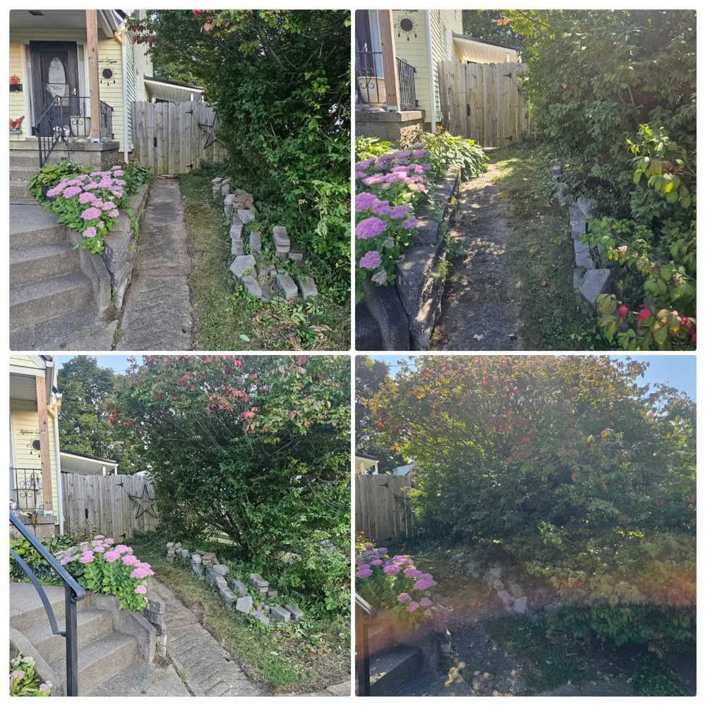 Reliable yard maintenance for year-round maintenance in Brackenridge, PA by Xplaz