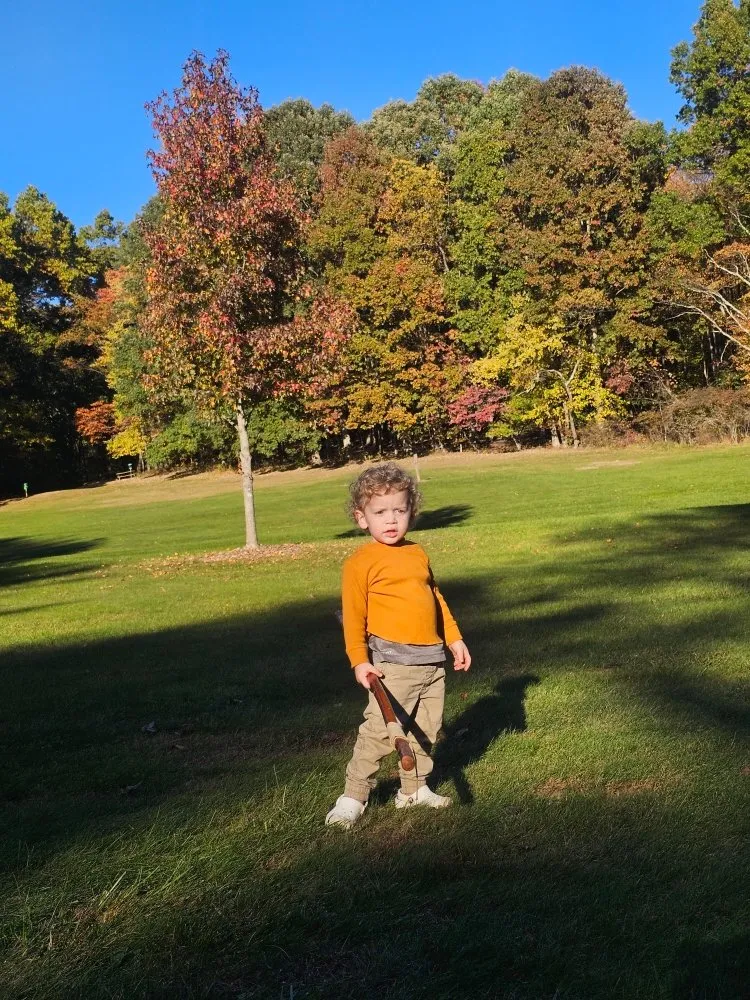 Local lawn care service experts serving Brackenridge, PA - Xplaz