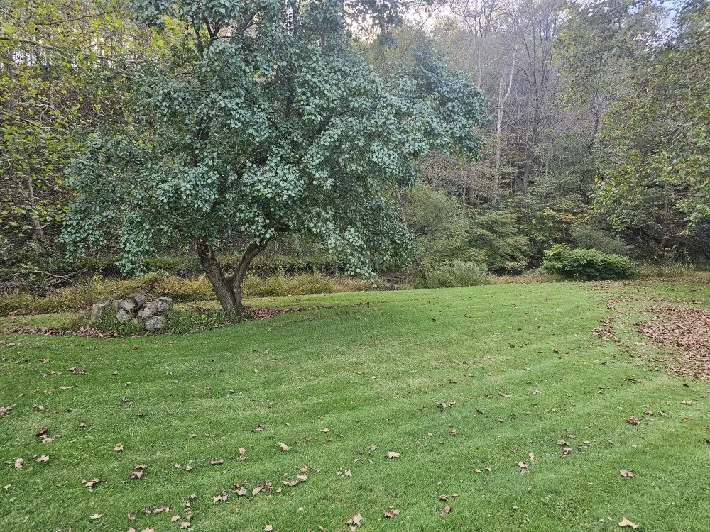 Reliable lawn mowing service in Brackenridge, PA by Xplaz