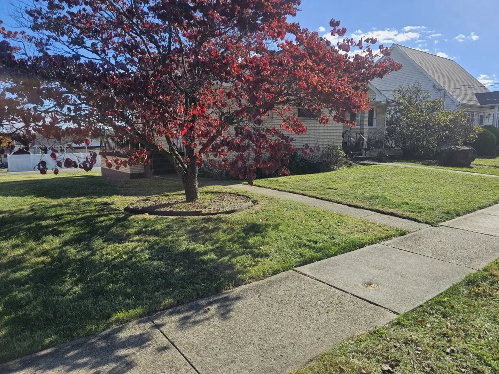 Custom residential landscaping experts serving Brackenridge, PA - Xplaz