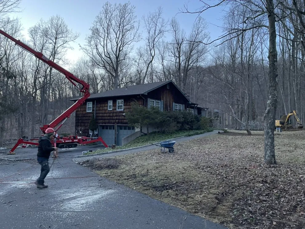 Professional yard cleanup service in Danbury, CT - Xplus Tree Service