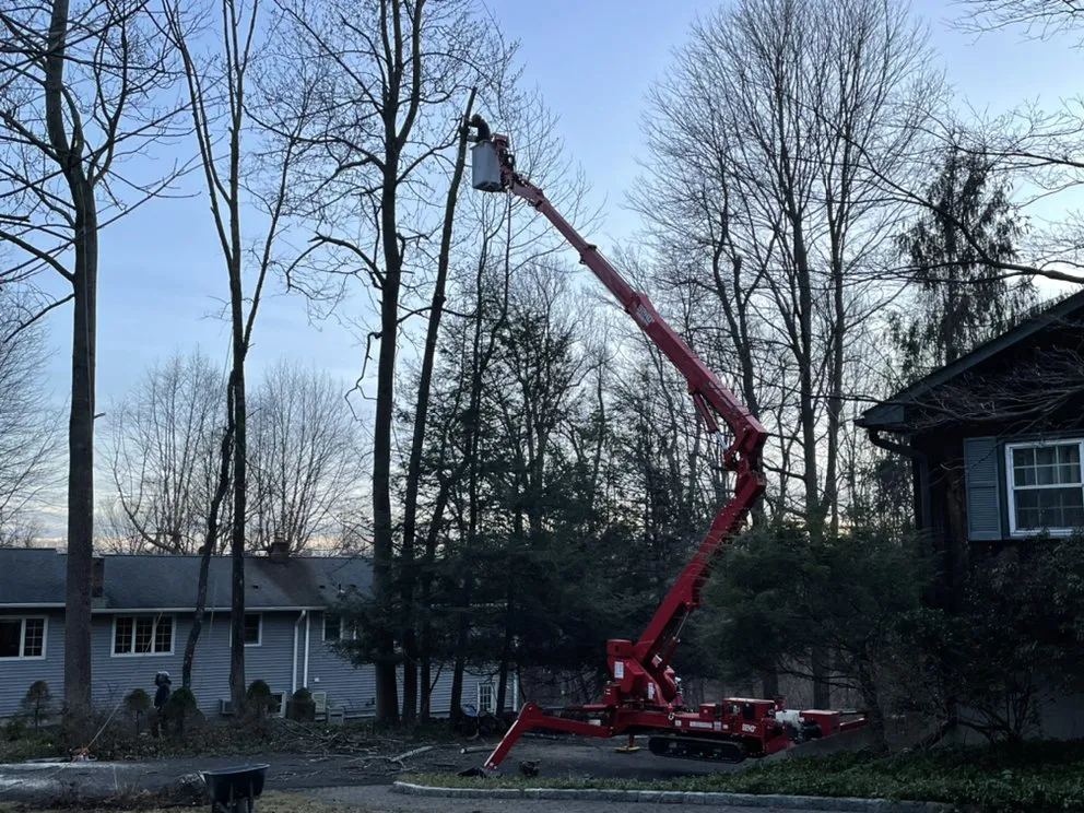 Expert yard maintenance in Danbury, CT by Xplus Tree Service