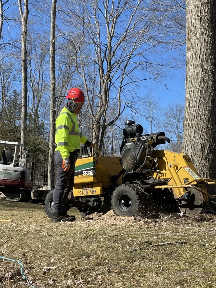 Local outdoor landscaping in Danbury, CT by Xplus Tree Service