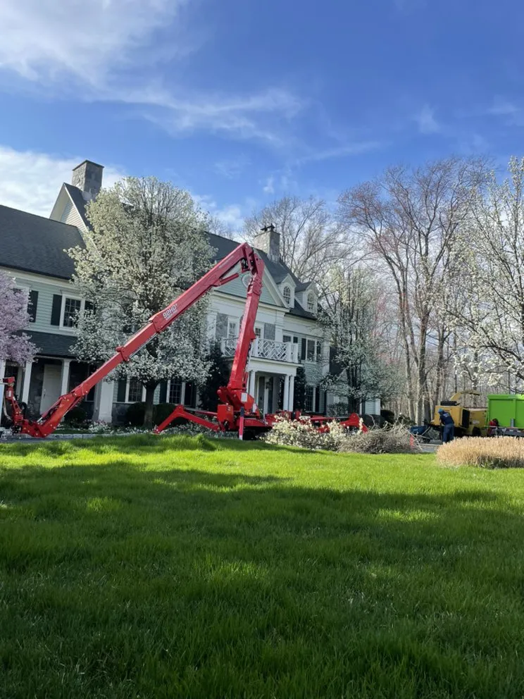 Custom yard cleanup service in Danbury, CT - Xplus Tree Service