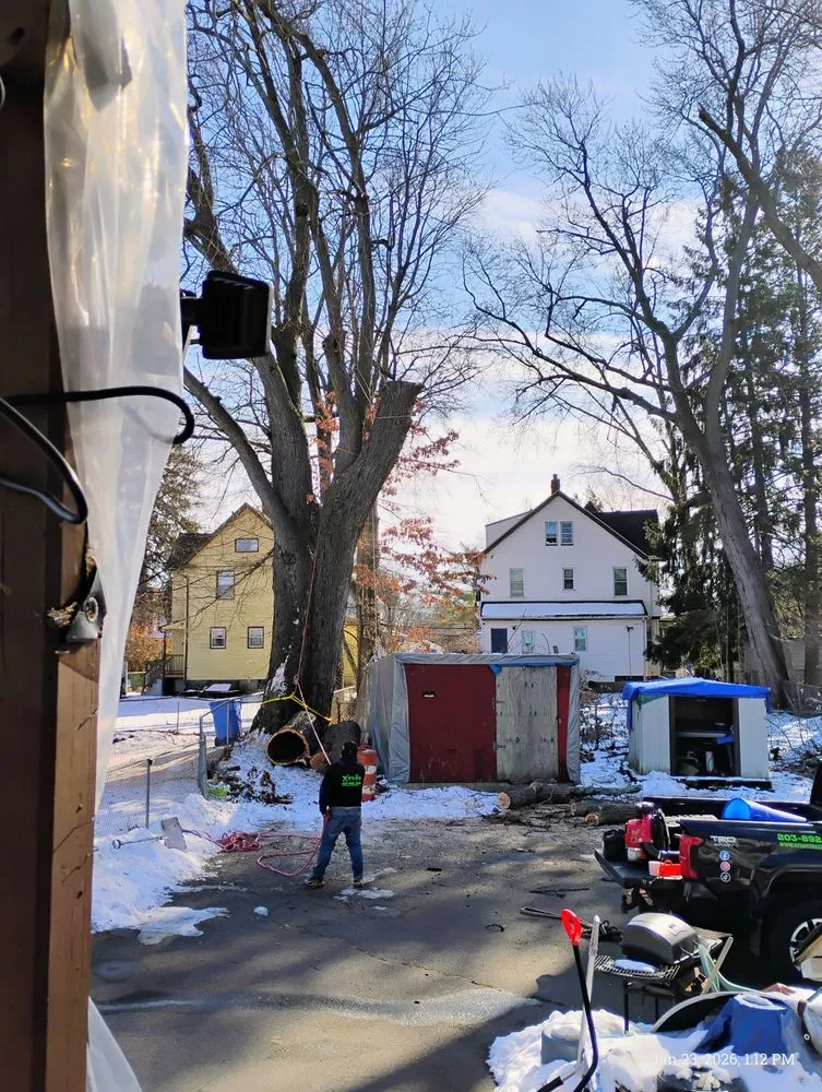 Expert lawn mowing service experts serving Danbury, CT - Xplus Tree Service