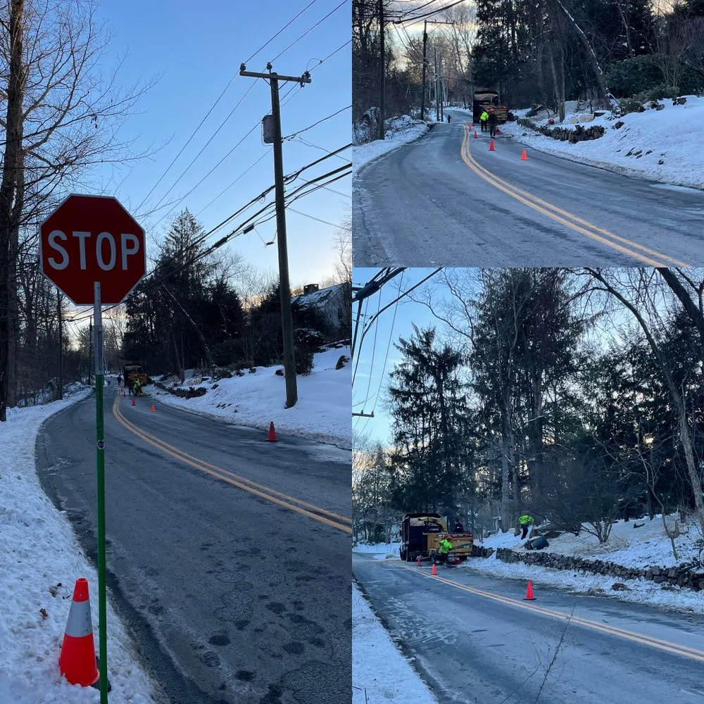 Expert landscape design for beautiful yards across Danbury, CT - Xplus Tree Service