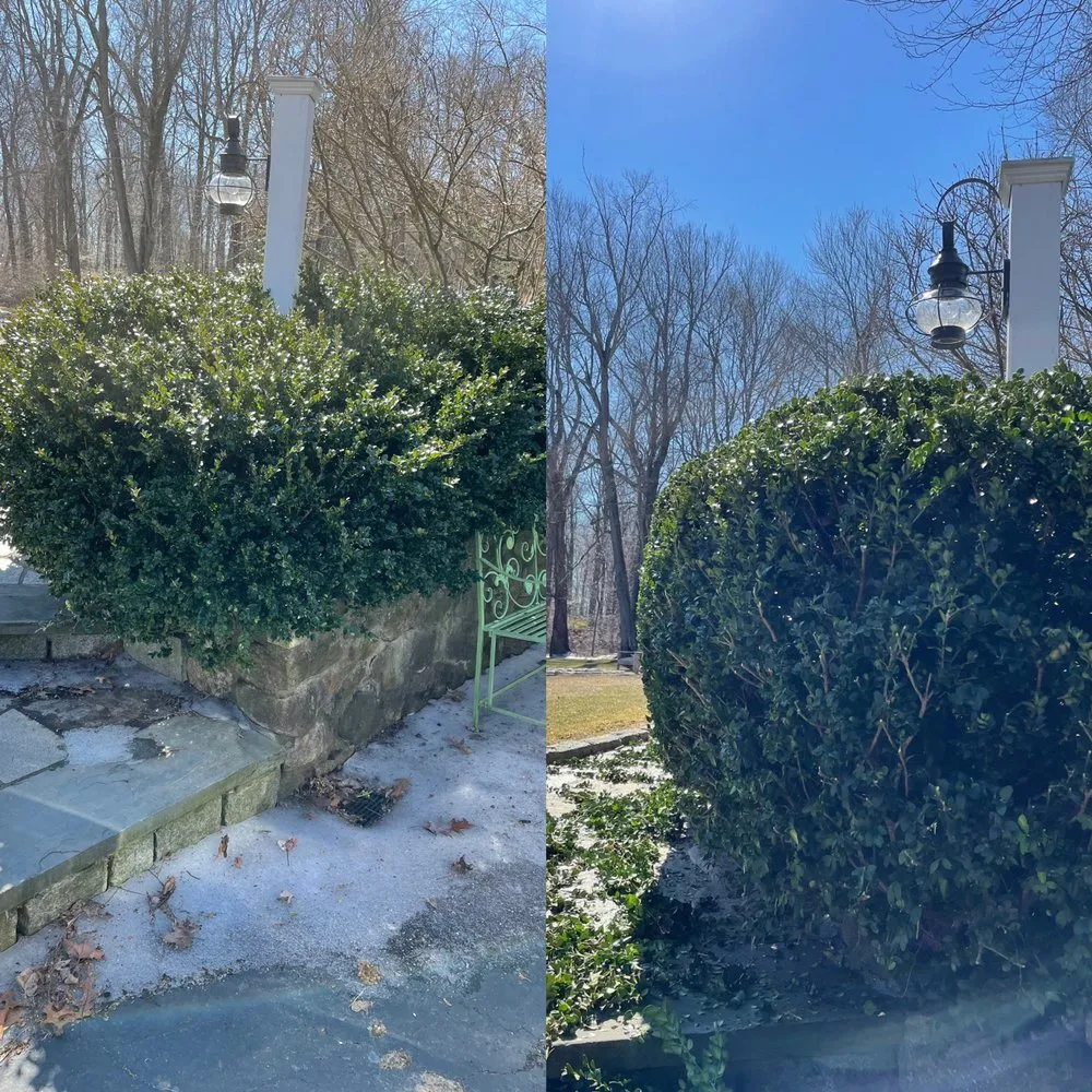 Affordable lawn care service in Danbury, CT by Xplus Tree Service