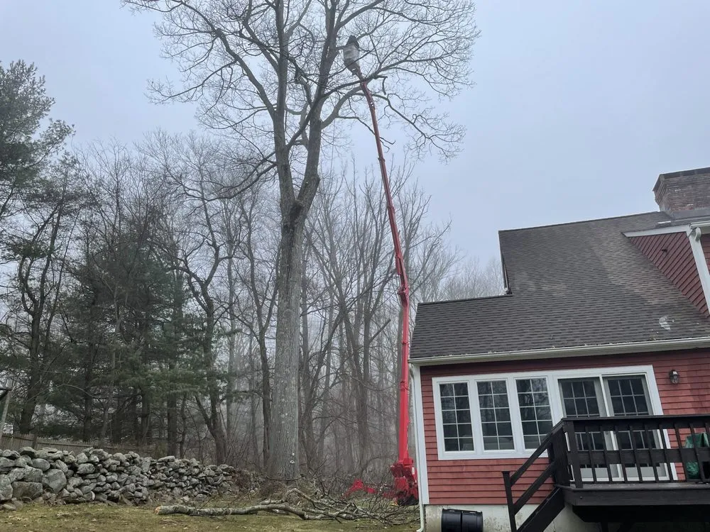 Professional residential landscaping experts serving Danbury, CT - Xplus Tree Service