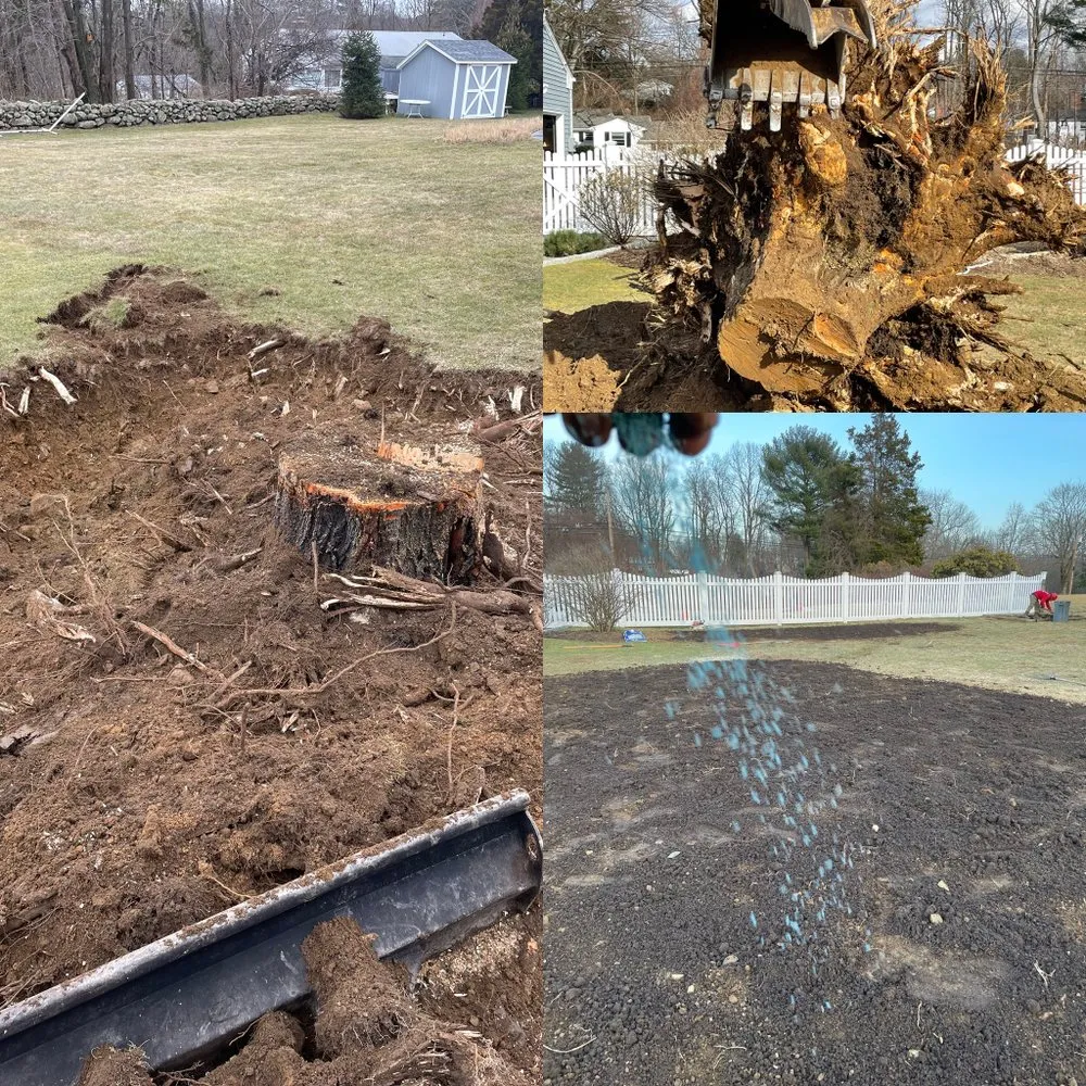 Reliable landscape installation experts serving Danbury, CT - Xplus Tree Service